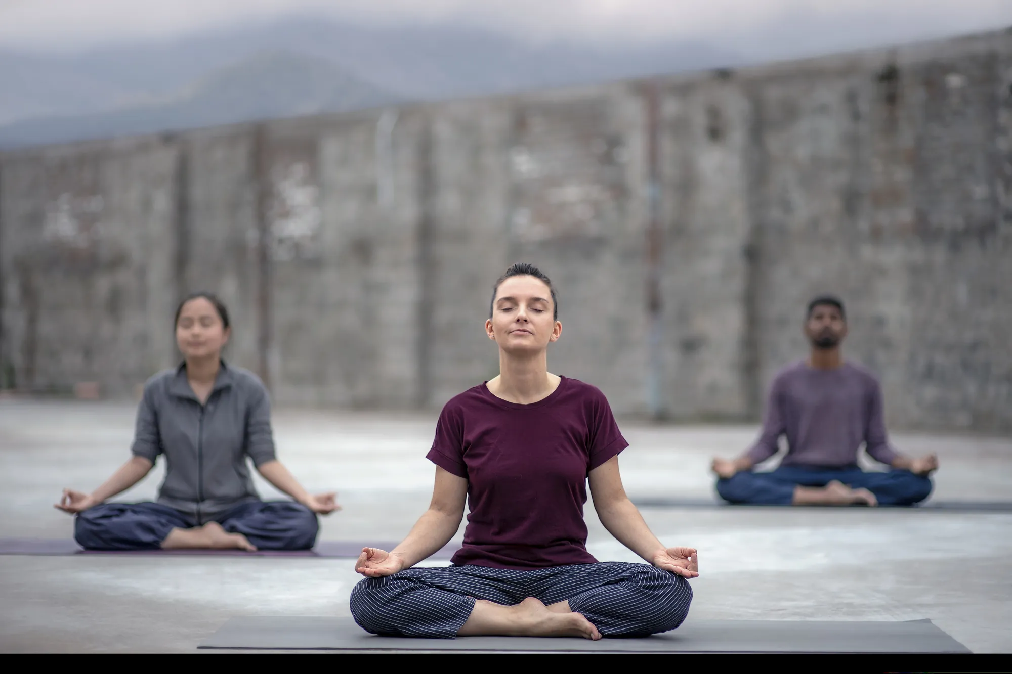 Beginner classical yoga course at Adiyoga in Earlwood